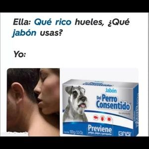 Meet your Posher, Maria